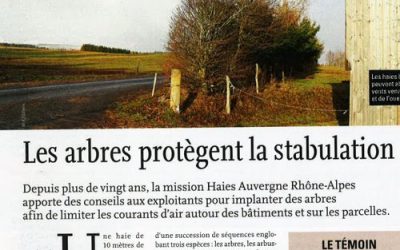 Article : les arbres protègent la stabulation