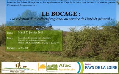 Le bocage : “Création d’un collectif régional au service de l’intérêt général”