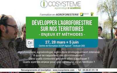 Formation Icosystème : Développer l’agroforesterie sur nos territoires – Enjeux et méthodes