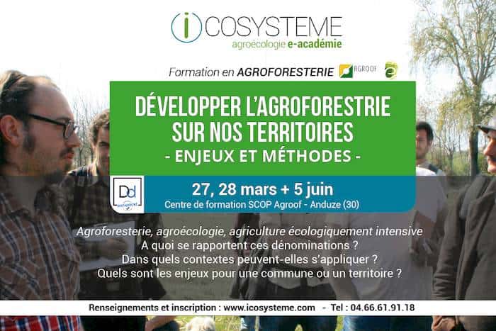 agroforesterie formation icosystème