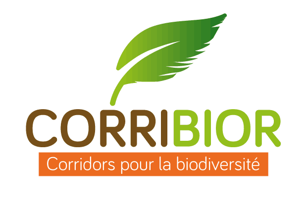 corribior logo