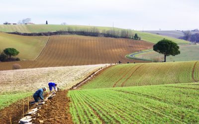 Candidatez à l’appel à projets « Plantons en France – en route vers les 5 millions » – saison 2019-2020