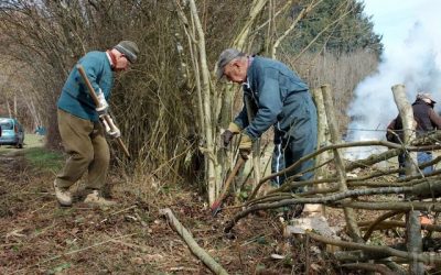 Mois de la pléchie 2019 : Transmission de la technique de plessage