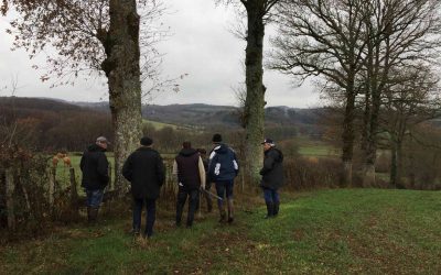 Comment parler pour sauver les arbres ? Un article de Léo Magnin paru dans Métropolitiques