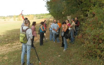 Des arbres de pays « Végétal local » en Occitanie