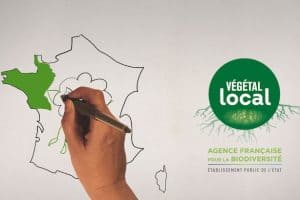 enjeu biodiversité locale végétal local edf