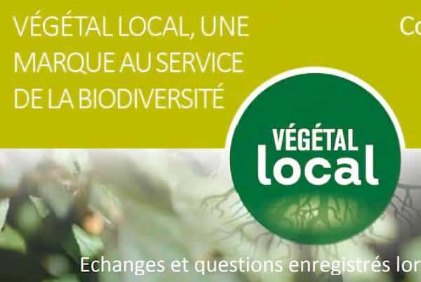 webinaire végétal local