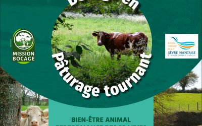 Journée technique : Bocage en pâturage tournant – 18 juin 2019 à St-Hilaire-de-Clisson (44)