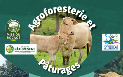 Journée technique : agroforesterie et pâturages – le 2 juillet à Lys-Haut-Layon (49)