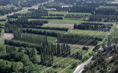 À lire : Les haies, un enjeu fort pour les paysages et la biodiversité dans les Alpilles (Volubilis)