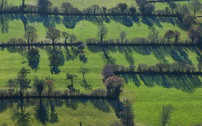 À lire : Rémunérer les services écosystémiques pour préserver les paysages agroforestiers en Europe atlantique et continentale