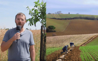 À voir : l’émission Powerboost s’intéresse à l’agroforesterie – avec A2RC