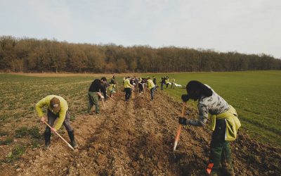 Programme “Plantons en France – en route vers les 5 millions” : les lauréats de la saison 2019-2020