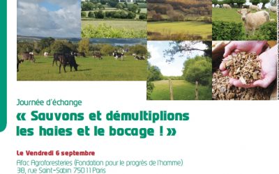 L’enjeu bocager au cœur d’une réflexion commune avec les Parcs naturels régionaux de France