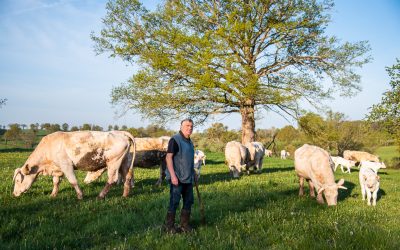 L’agroforesterie fait son entrée au Concours Général Agricole