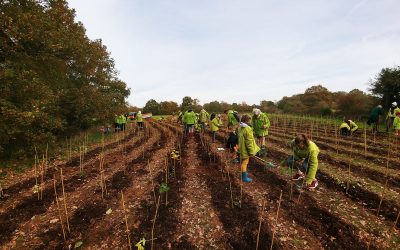 La saison des plantations est ouverte : première animation à Rennes