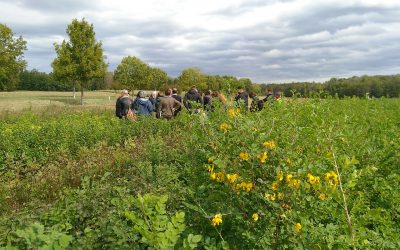 Végétal local : déploiement de la marque dans la région d’origine Nord-Est – Retour sur deux temps forts