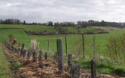 Végétal local à l’honneur au salon de l’agriculture