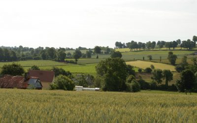 Une thèse de géographie renouvelle notre compréhension de la transformation des paysages de bocage