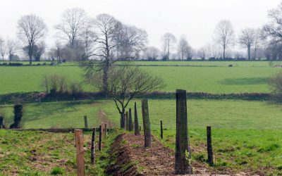 Plantons en France : appel à projets 2020-2021 et évolution du programme