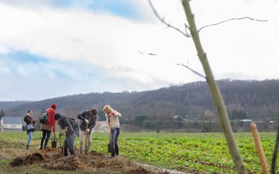 Plantons en France : bilan de la saison 2019-2020