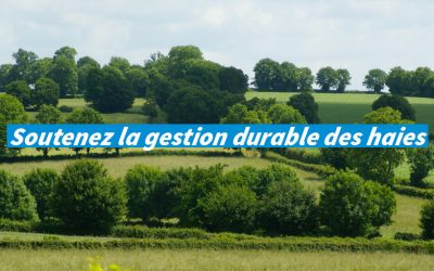 Soutenez la gestion durable des haies, 1% for the Planet double votre don