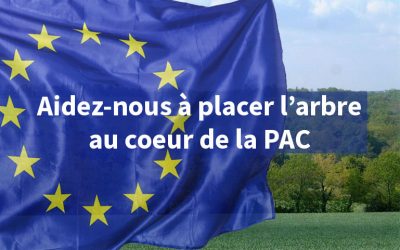 “ImPACtons !” : pour une PAC qui favorise le maintien, la gestion durable et le développement de l’arbre et la haie