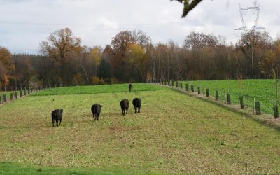 ZOOM SUR UN JURY LOCAL DANS L’EURE : Concours des pratiques agro-écologiques – Agroforesterie 2021