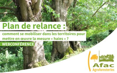 WEBCONFÉRENCE | Plan de relance : comment se mobiliser dans les territoires pour mettre en œuvre la mesure « haies » ?