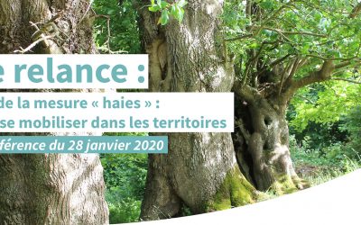 Mise en oeuvre de la mesure “haies” : des outils pour se mobiliser dans les territoires