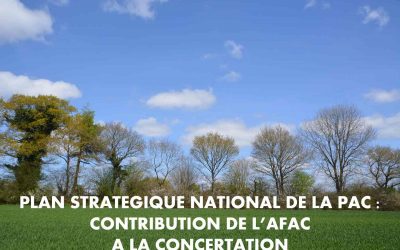 Nouvelle étape dans l’élaboration du Plan Stratégique National de la PAC : découvrez la contribution de l’Afac