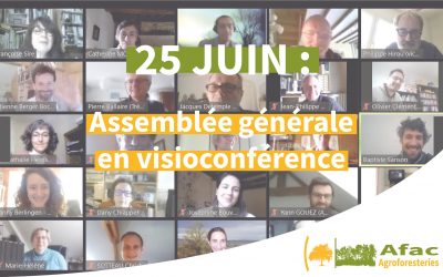 Assemblée générale 2021 : consultez le replay et les rapports de l’année 2020