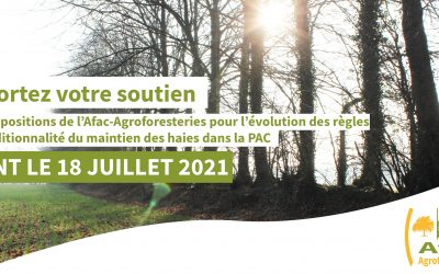 La PAC protège-t-elle vraiment les haies ? – Rapport et webconférence