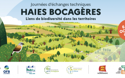 Journées d’échanges techniques “Haies bocagères” de l’OFB – 6&7 octobre