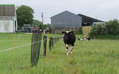 ZOOM SUR LE JURY DANS LE BAS-LÉON – Concours des pratiques agro-écologiques – Agroforesterie 2022