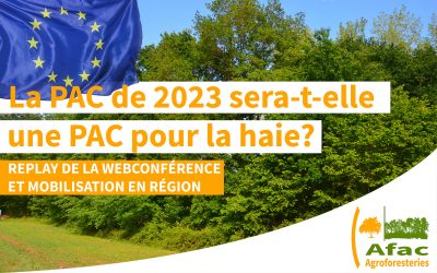 Replay de la webconférence PAC et mobilisation en région