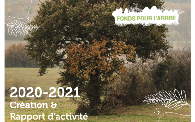 Le Fonds pour l’Arbre publie ses données sur les haies pour 2020-2021