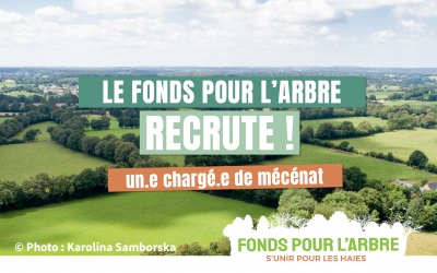 Le Fonds pour l’Arbre recrute !