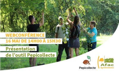 Webconférence de présentation de Pepicollecte