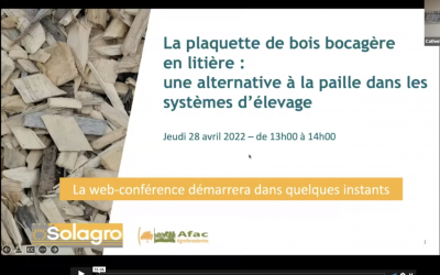 Replay et FAQ : webinaire plaquettes de bois bocagère en litière – Solagro