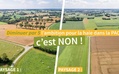 Retour sur la mobilisation pour les haies dans la PAC