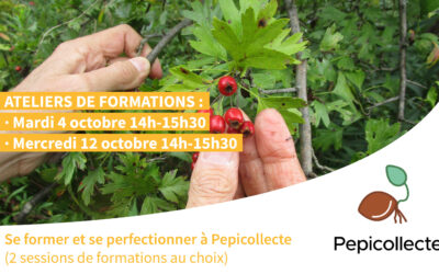 Formations à Pepicollecte : 4 et 12 octobre