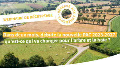 Décryptage de la PAC 2023-2027 : ce qui change pour l’arbre et la haie