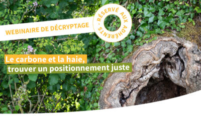 Webinaire de décryptage : Le carbone et la haie, trouver un positionnement juste