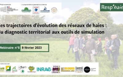 Les trajectoires d’évolution des réseaux de haies : revoir le webinaire#5 RESP’HAIES