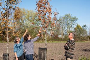 operateurs Fonds pour l'arbre appel à projets