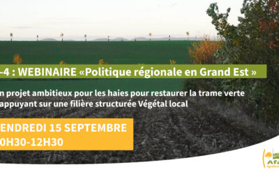 REPLAY: webinaire «Politique régionale en Grand Est »