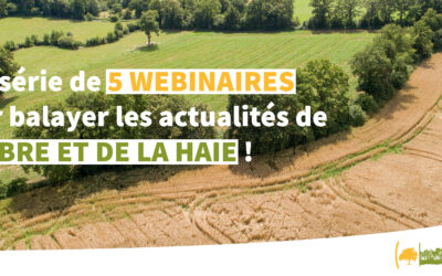 5 webinaires pour balayer les actualités de l’arbre et la haie !