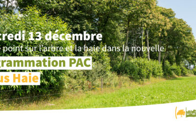 REPLAY : Le Bonus Haies dans la nouvelle programmation PAC
