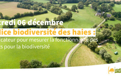 REPLAY : Biodiversité – L’indice de biodiversité potentiel dans le Plan de gestion durable des haies